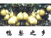 u=2257536458,4188160857&fm=21&gp=0.jpg