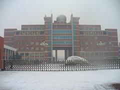 u=1323014264,2058989539&fm=23&gp=0.jpg