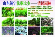 u=1243323115,2925389458&fm=21&gp=0.jpg