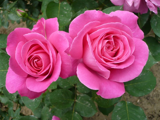 2011116135317679.jpg