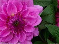 u=3133516421,2470719764&fm=21&gp=0.jpg
