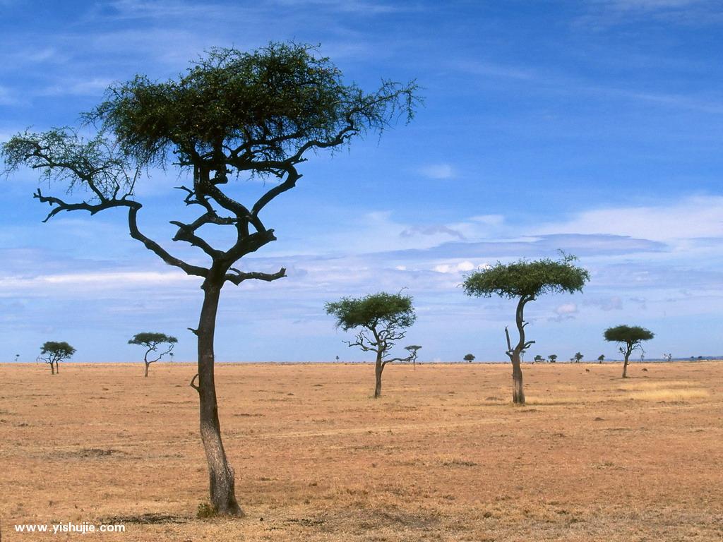shugudu.jpg
