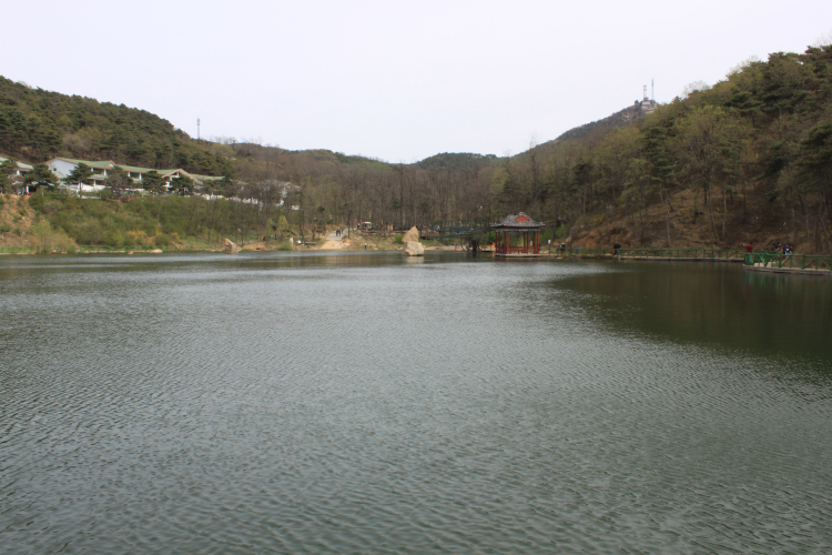 122520m3m3pg7ep3741qo3.jpg