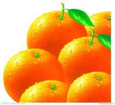 u=2406748200,2523017010&fm=21&gp=0.jpg