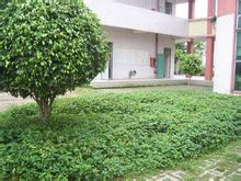 d4628535e5dde711dd614af8a7efce1b9d166108.jpg
