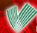 未命名1.jpg