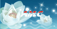 QQ截图20130511235924.png