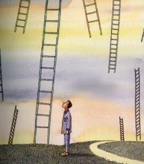 1250048713859_000.jpg