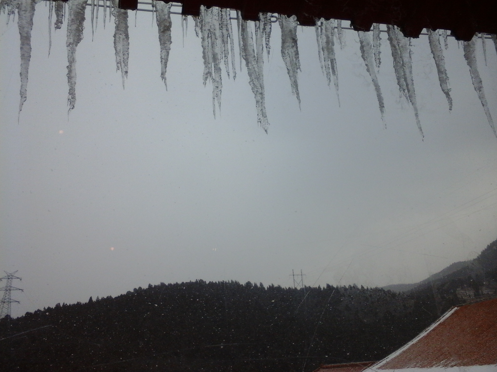 20140209_104655.jpg