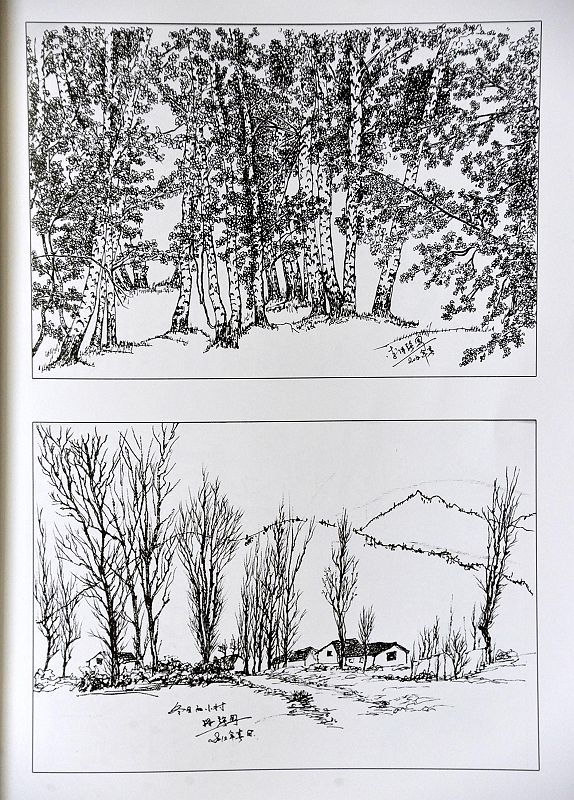 2014年2月13日，山东省茌平县钢笔画家李保强钢笔画作品集部分作品 。