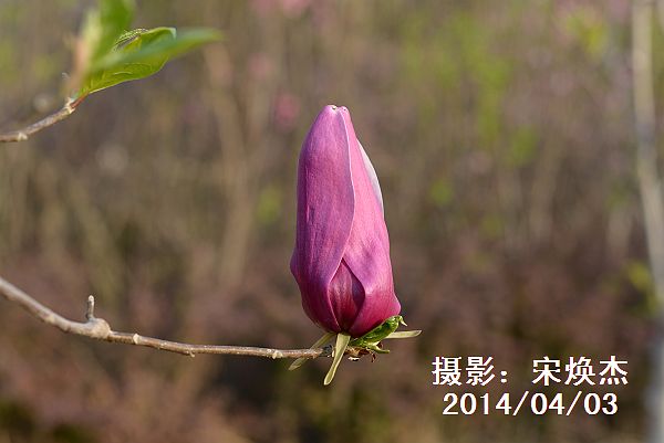 山东聊城：摄影师宋焕杰摄影作品