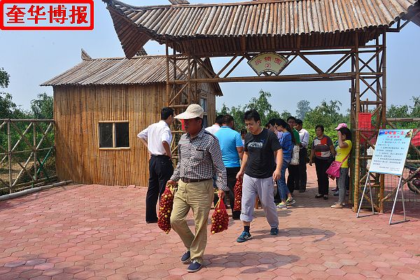 2014年9月13日星期六，聊城市民及济南、青岛的游客来到山东省茌平县肖庄镇圆铃大枣生态园里，进行自由采摘， ...