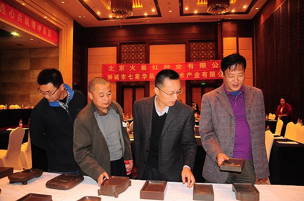 民主建国会聊城市委员会首次举办的“非遗手拉手、共圆中国梦”活动。