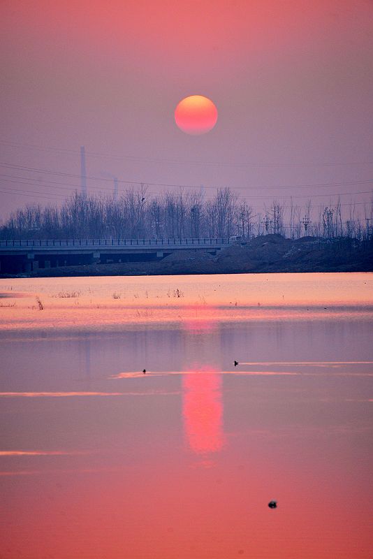 山东聊城：夕阳相约徒骇河