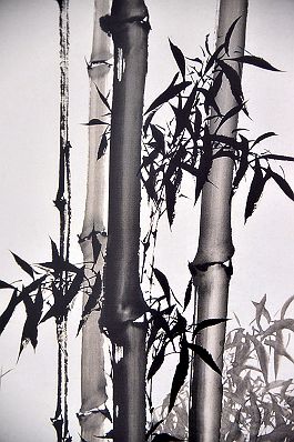 奎华播报：李德茂墨竹书法作品选