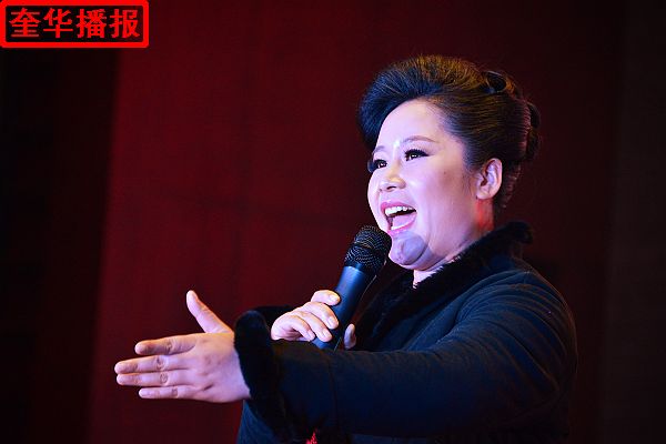 2014年12月27日，在临沂市沂南县召开的山东省企业文化建设峰会文艺 演出现场。