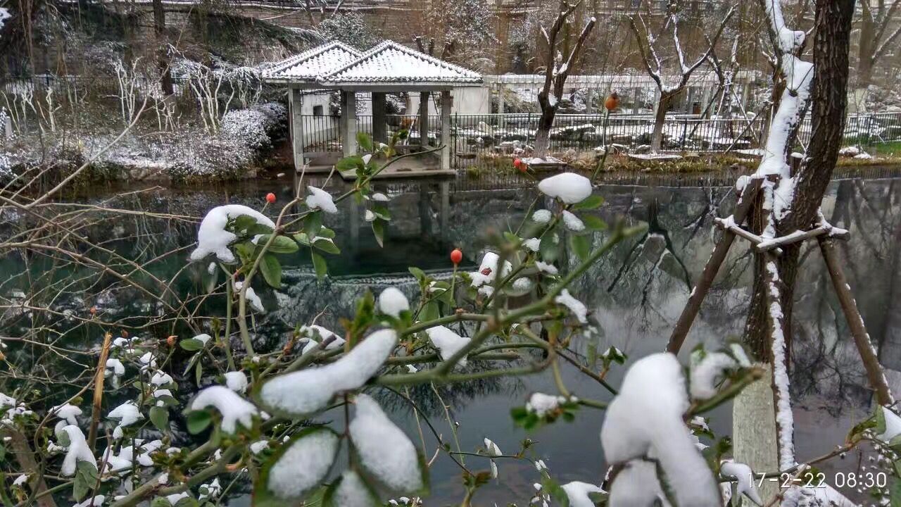 QQ图片20170222103848.jpg