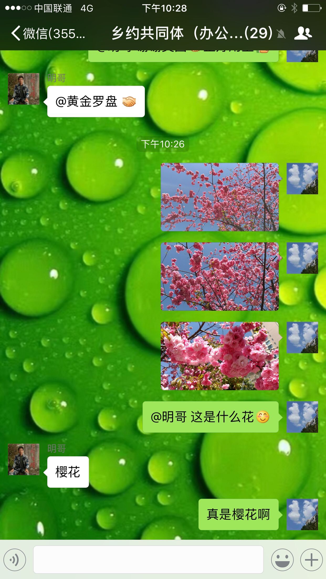 QQ图片20170325094910.jpg