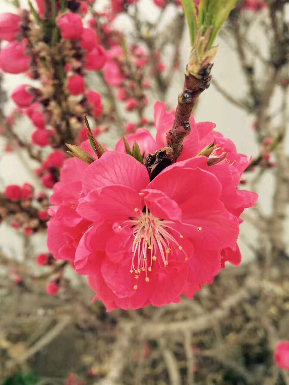 QQ图片20170414153028.jpg