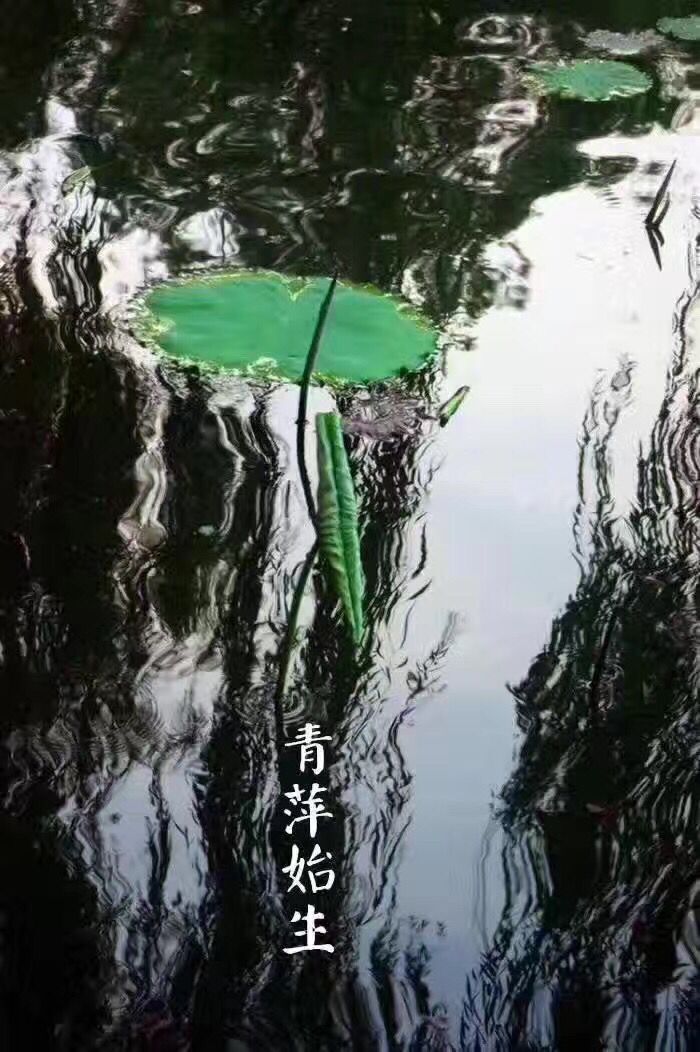 QQ图片20170420081824.jpg