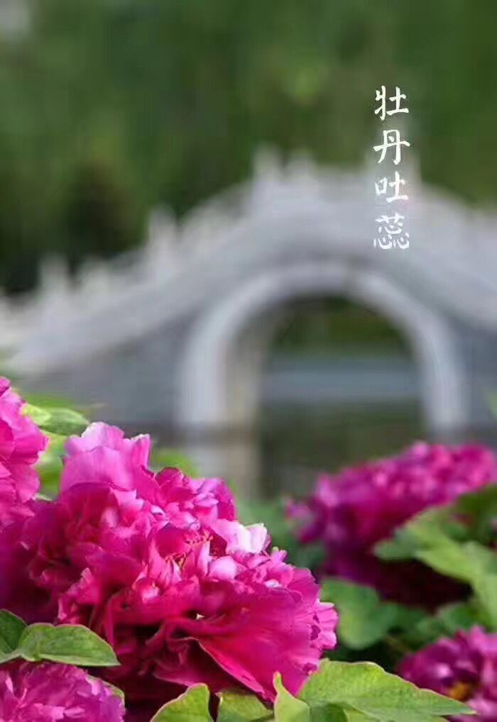 QQ图片20170420081844.jpg