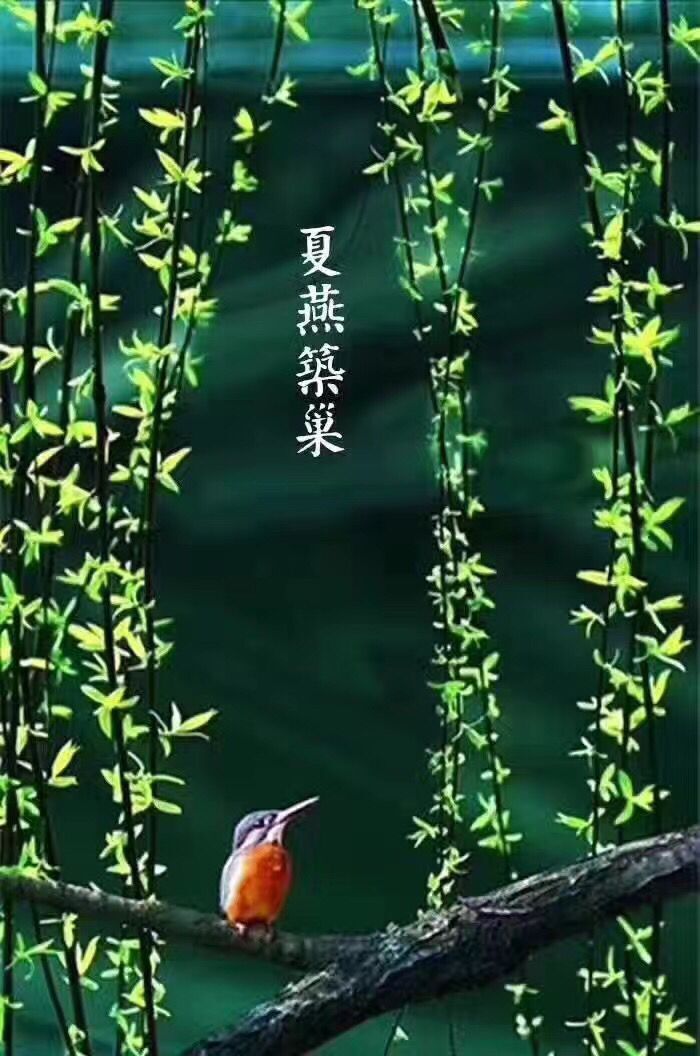 QQ图片20170420081904.jpg