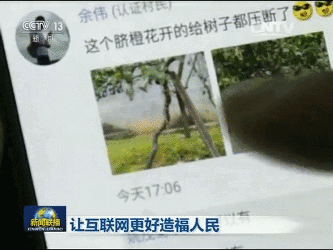 QQ图片20170421082411.gif