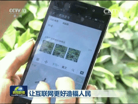 QQ图片20170421082437.gif