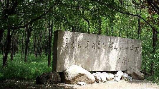 QQ图片20170424121221.jpg