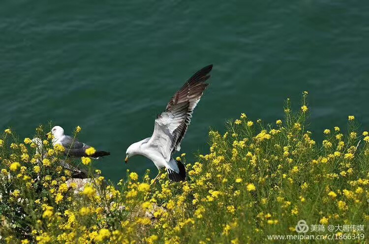 IMG_7188.JPG