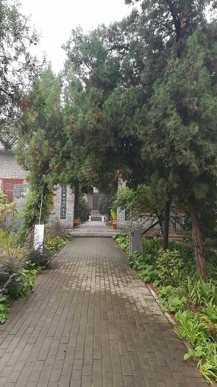 QQ图片20171017070924.jpg