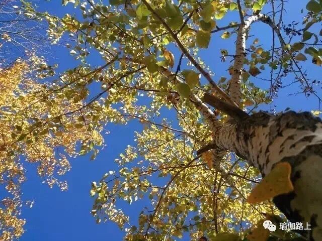 QQ图片20171022211702.jpg