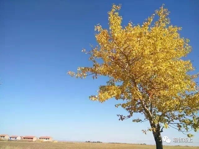 QQ图片20171022211724.jpg