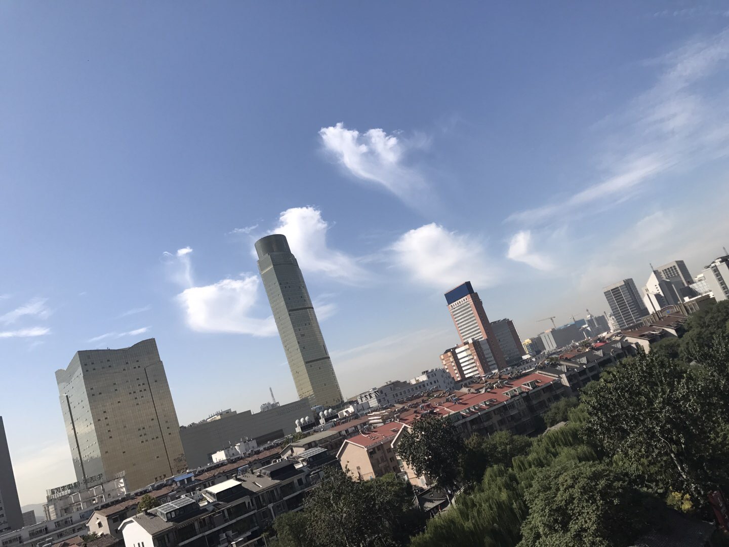1022F768-D04B-4CC8-BCB1-2B51DD368B06.jpeg