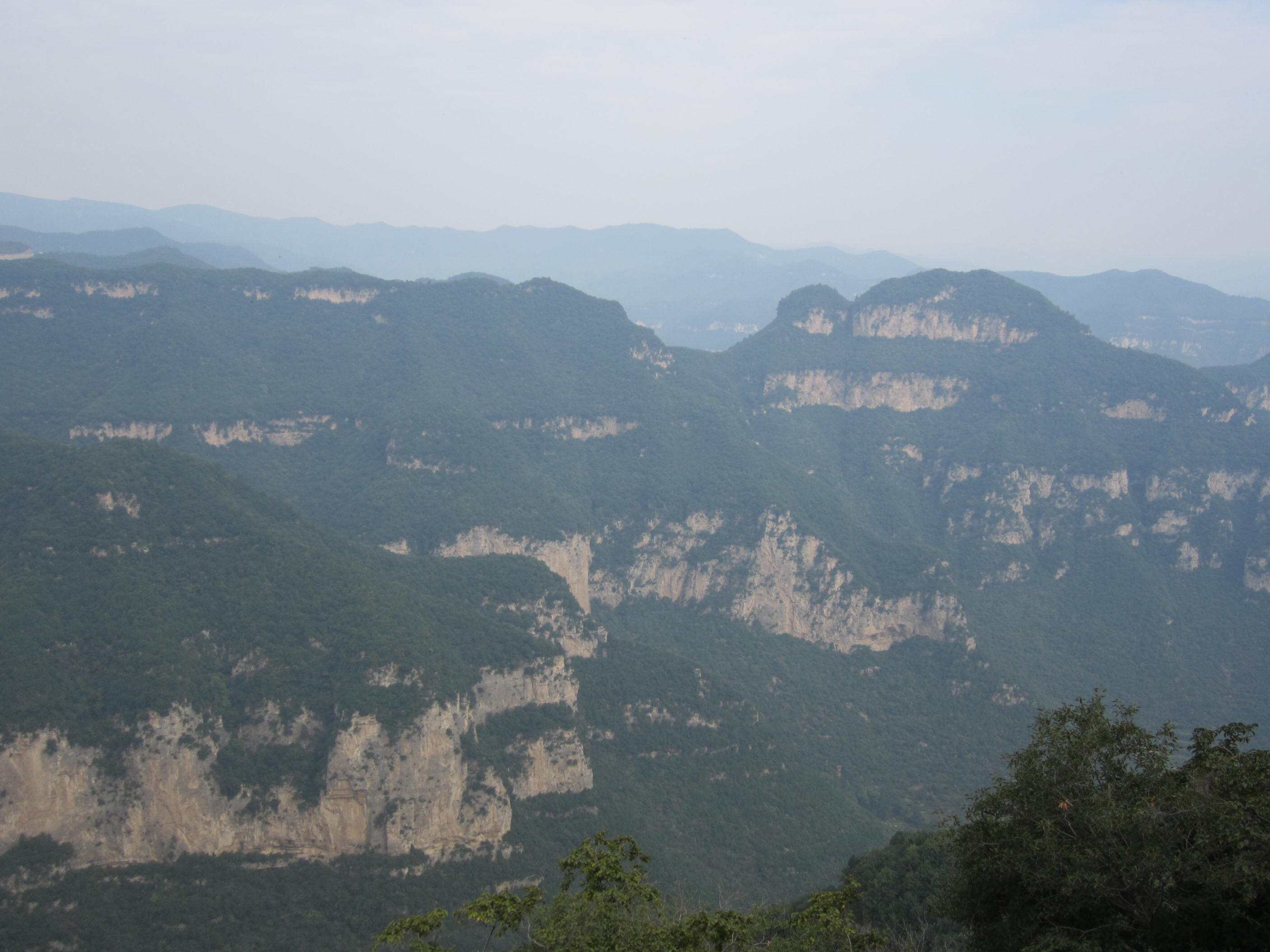 1DC6F344-5857-471B-9D52-C3515D1EAC0C.jpeg