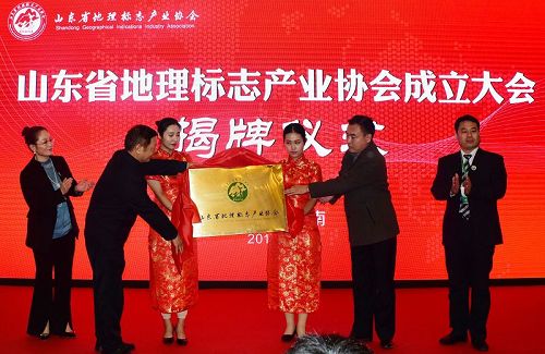 山东省地理标志产业协会成立  孙明香当选会长