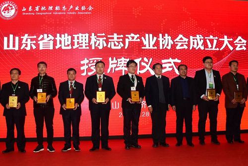 山东省地理标志产业协会成立  孙明香当选会长