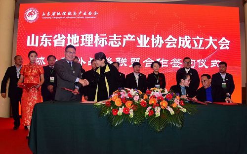 山东省地理标志产业协会成立  孙明香当选会长