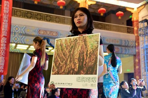 山东省地理标志产业协会成立  孙明香当选会长