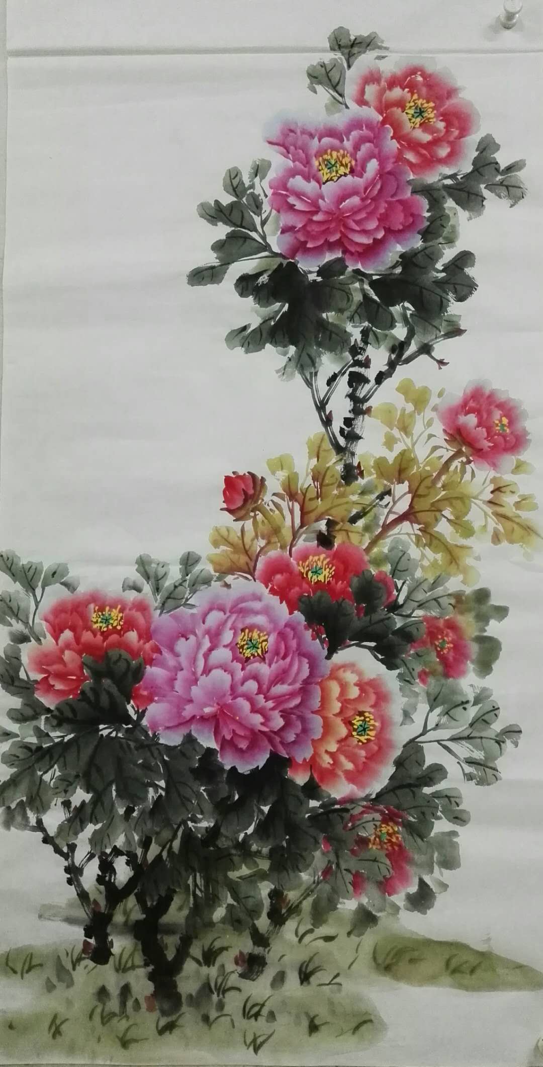 FE7C26DE-8D3E-4D18-BB77-0E1272B1864E.jpeg