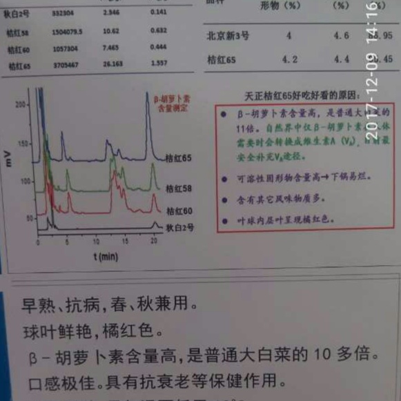 0EF7BD94-D9D9-4D37-956E-7314BA44F126.jpeg