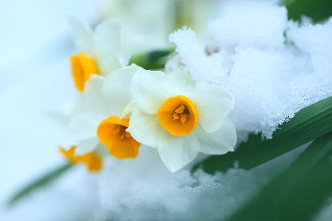 F7634915-FF83-4594-AA50-74B41CCC825D.jpeg