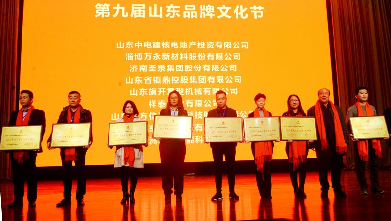 2018年1月19日，第九届山东品牌文化节颁奖典礼现场。 (15).jpg