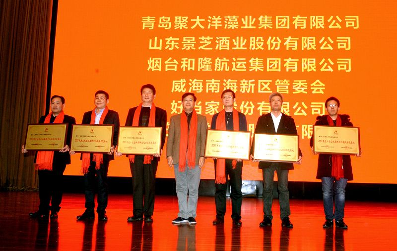2018年1月19日，第九届山东品牌文化节颁奖典礼现场。 (22).jpg