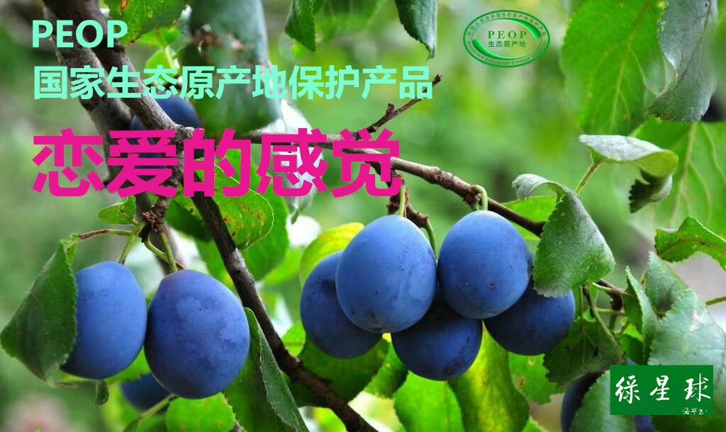 423176E2-D0E3-49F8-98A3-24610D3A8E28.jpeg