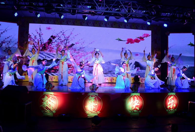 2018年2月8日，山东省茌平县春节联欢晚会现场。 (25).jpg