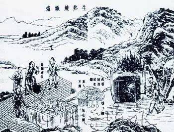 B78F6AFA-71B6-4F8A-833D-1925D5250726.jpeg