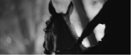 A9D554C8-516F-4886-B8B1-AE5B2FC7C709.gif