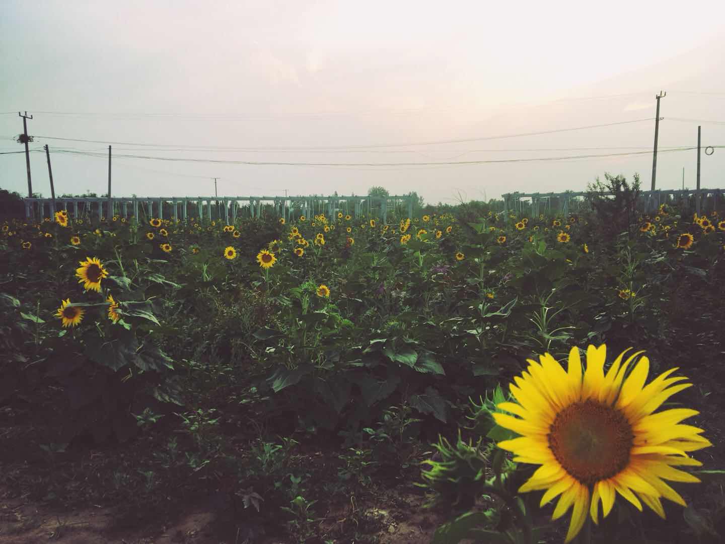94B3A8D3-CB85-4107-903E-453BB4CE87B0.jpeg