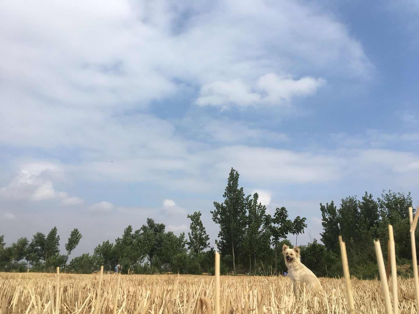 516E2862-446C-4365-B955-B210348F1E1E.jpeg